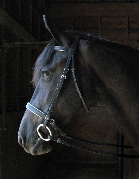 Signature Concha Bridle with Laced Reins by Smith-Worthington