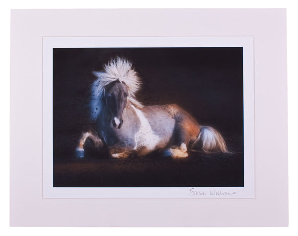 "Equus IV" Print by Windhorse One Studios