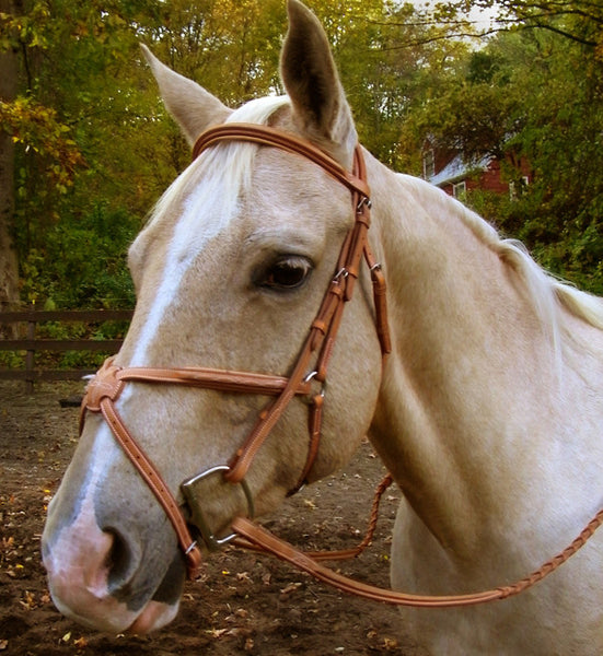 Signature Figure 8 Bridle with Rubber Reins by Smith-Worthington