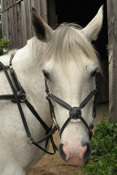Signature Figure 8 Bridle with Rubber Reins by Smith-Worthington