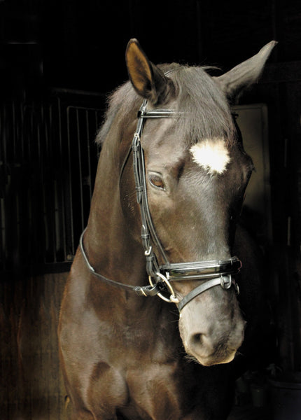 Patent Leather Dressage Bridle with Stop Reins by Smith-Worthington